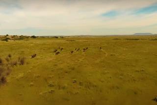  Bedroom Property for Sale in Fauresmith Rural Free State